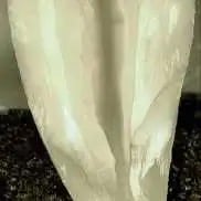 GentleWave example
